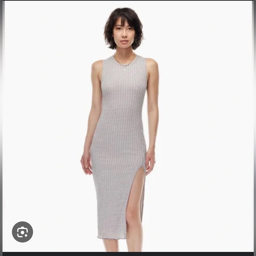 Aritzia Wilfred Verona Dress